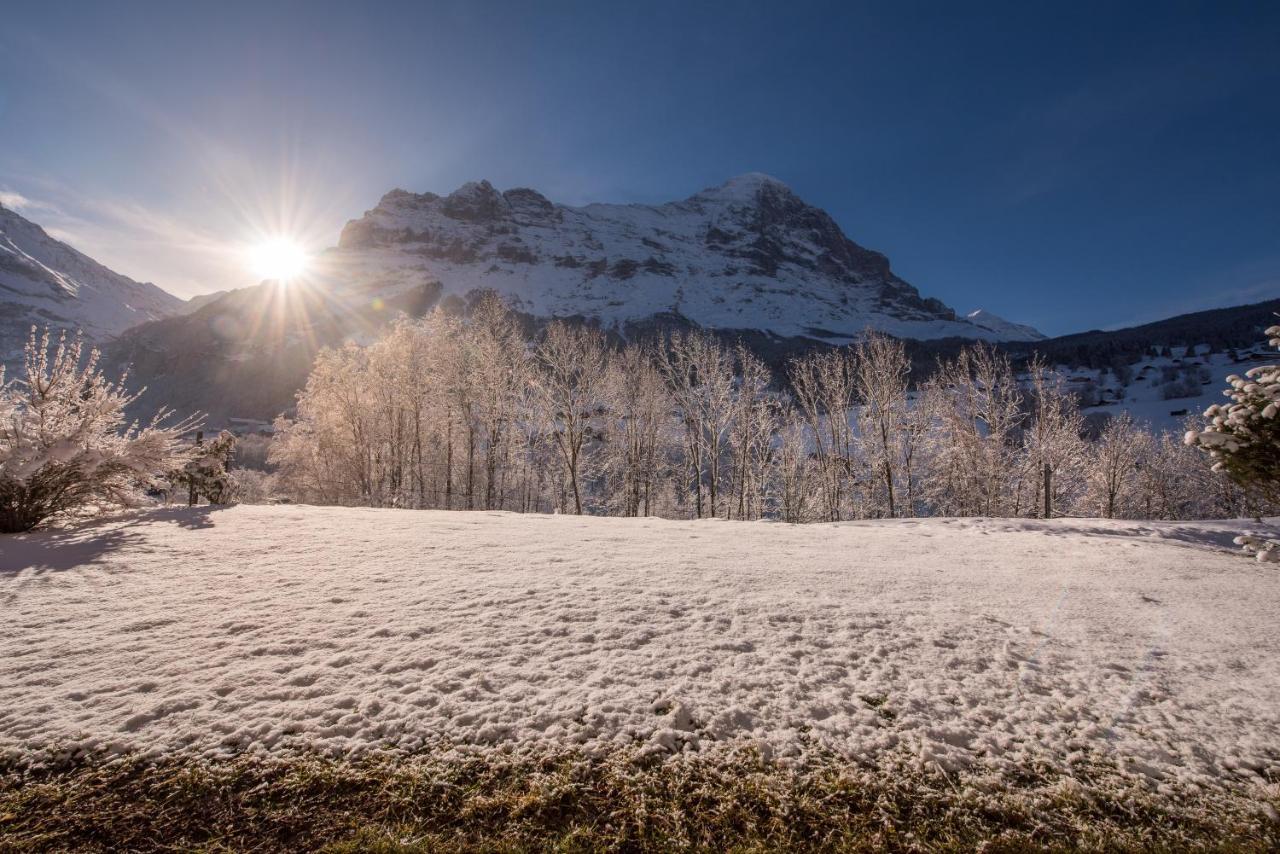 Billabong Daire Grindelwald Dış mekan fotoğraf
