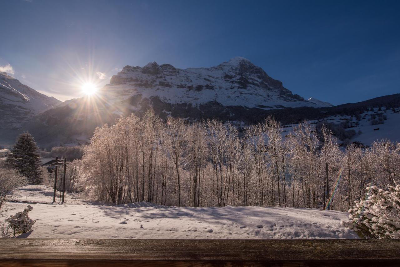 Billabong Daire Grindelwald Dış mekan fotoğraf